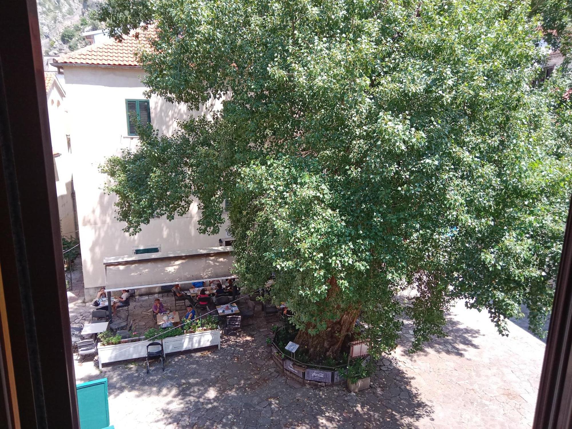 Ferienwohnung Centar Starog Grada Kotor Exterior foto